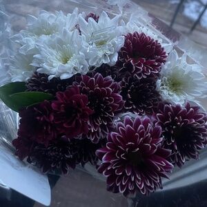 Meet your Posher, Savana